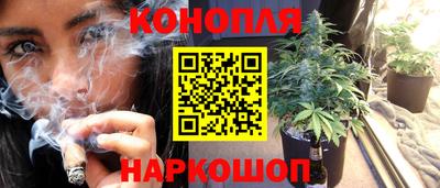 стафф Донецк