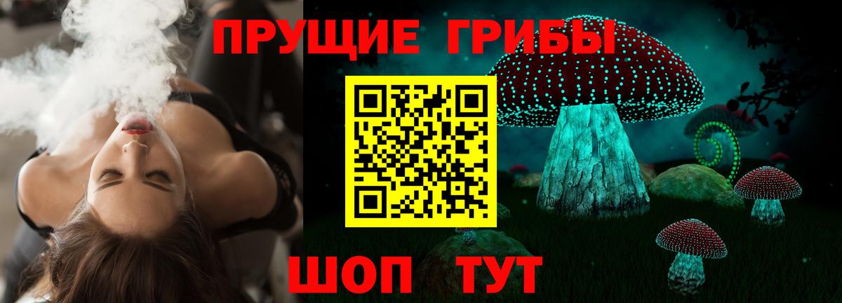 Волоколамск  Псилоцибиновые грибы Psilocybe  Вход с VPN 